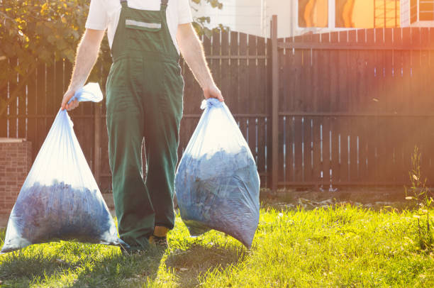 Best Carpet Removal and Disposal  in Sauk Centre, MN