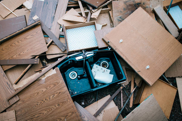 Best Electronics and E-Waste Disposal  in Sauk Centre, MN